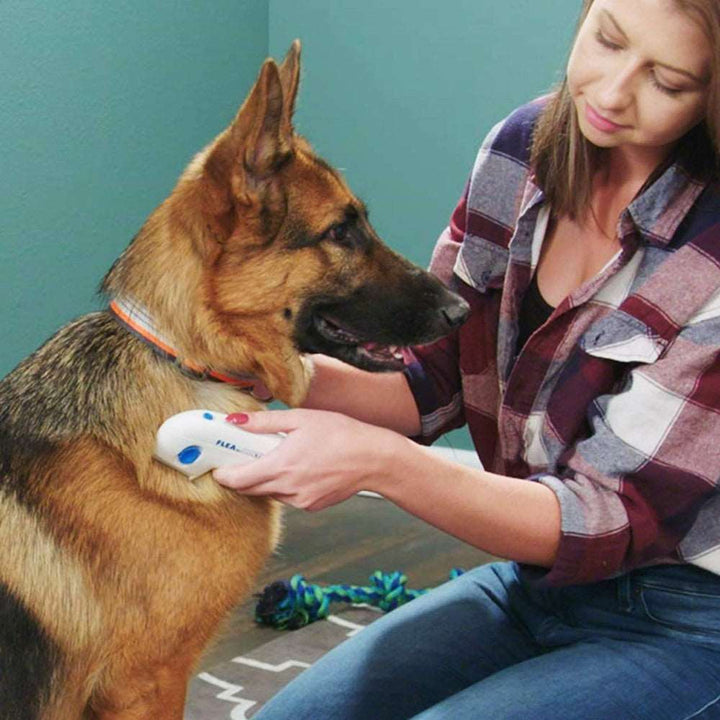 Cat Dog Electric Flea Comb Pet Removal Kill Lice Cleaner Electric Head Brush Pets Electric Comb for Fleas and Ticks Grooming Tools Remover hiloramart.com